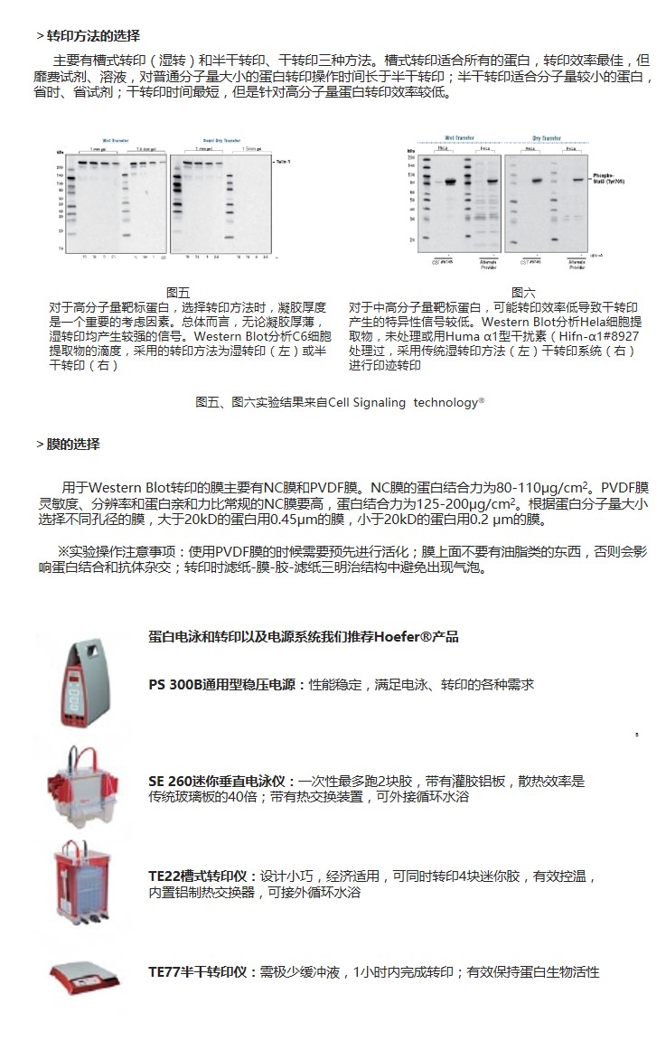 幻灯片6.JPG