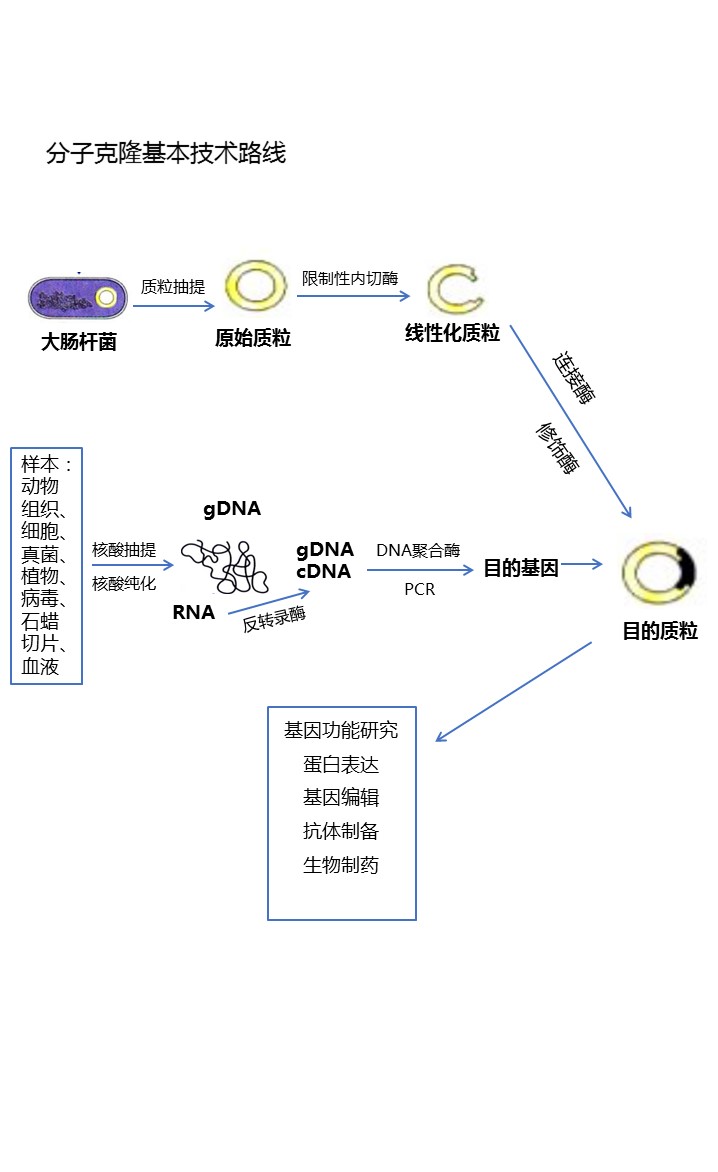 幻灯片3.JPG