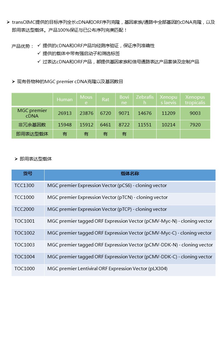 幻灯片32.JPG