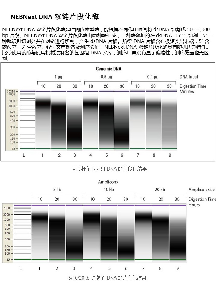 幻灯片30.JPG