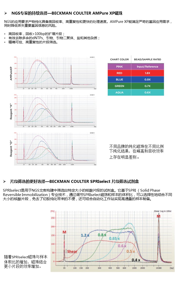 幻灯片32.JPG