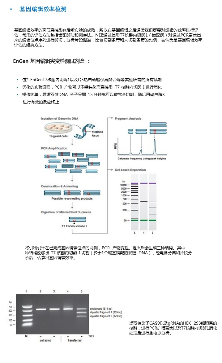 编辑效率分析篇.jpg