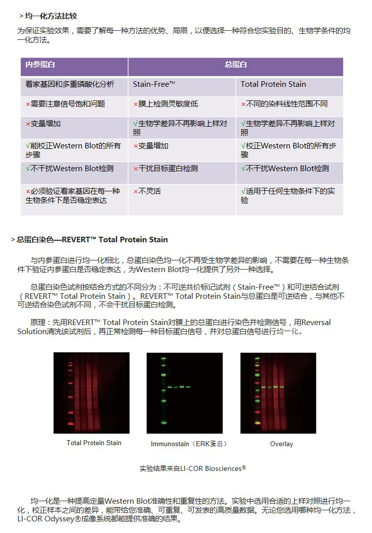 均一化.jpg