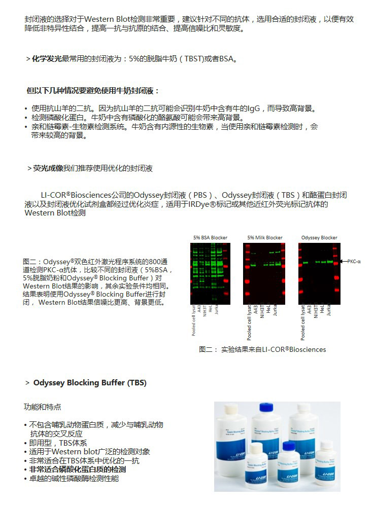 封闭篇.jpg